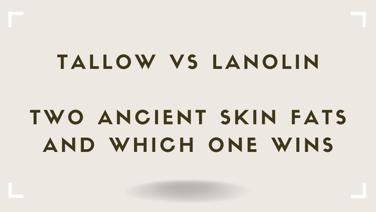 Tallow vs Lanolin: Two Ancient Skin Fats and Which One Wins