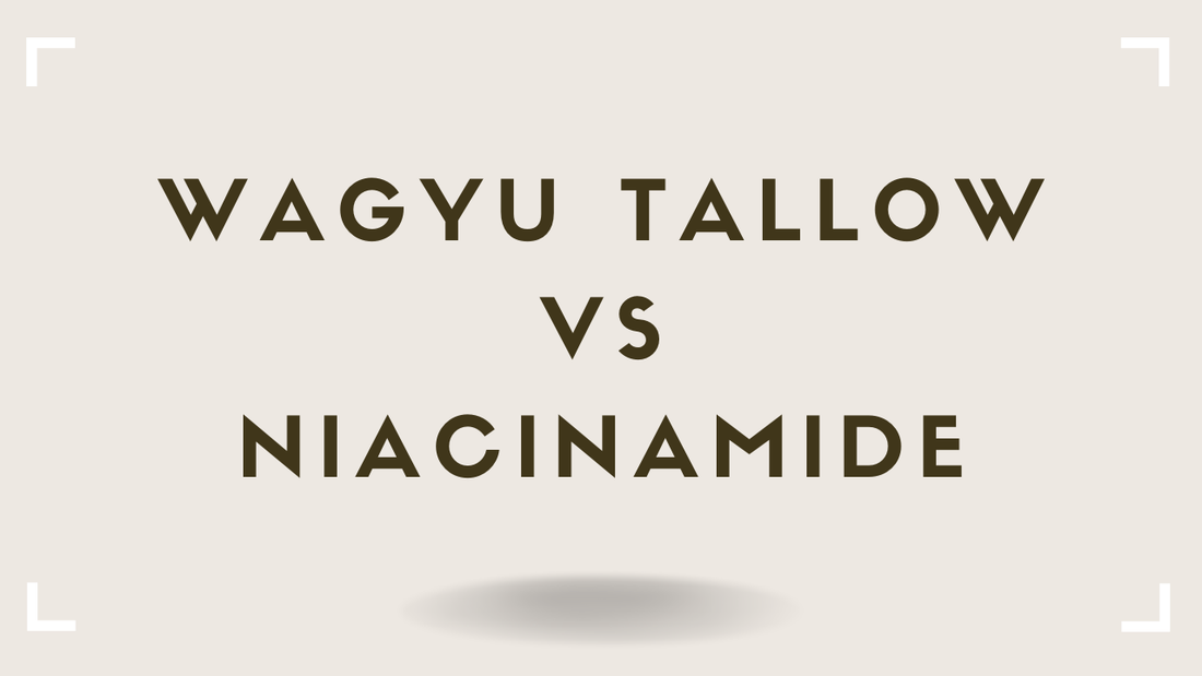 Tallow vs Niacinamide: Do You Need One, the Other, or Both?