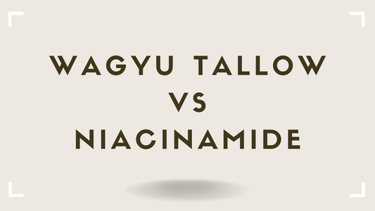 Tallow vs Niacinamide: Do You Need One, the Other, or Both?