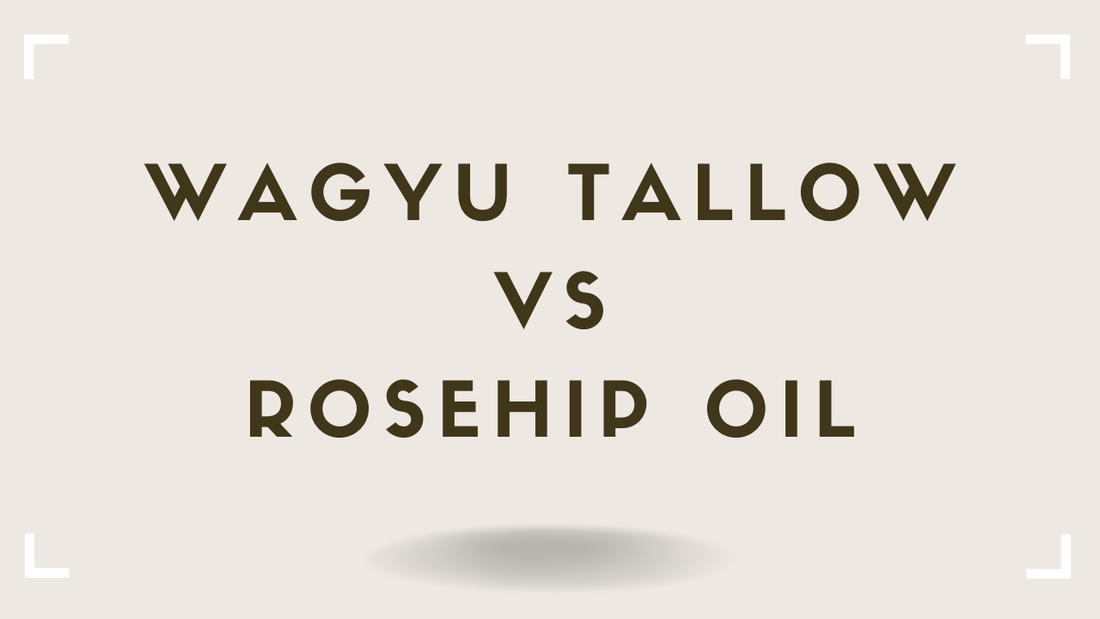 Tallow vs Rosehip Oil: The Truth About This Clean Beauty Favorite