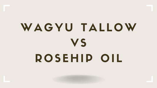 Tallow vs Rosehip Oil: The Truth About This Clean Beauty Favorite