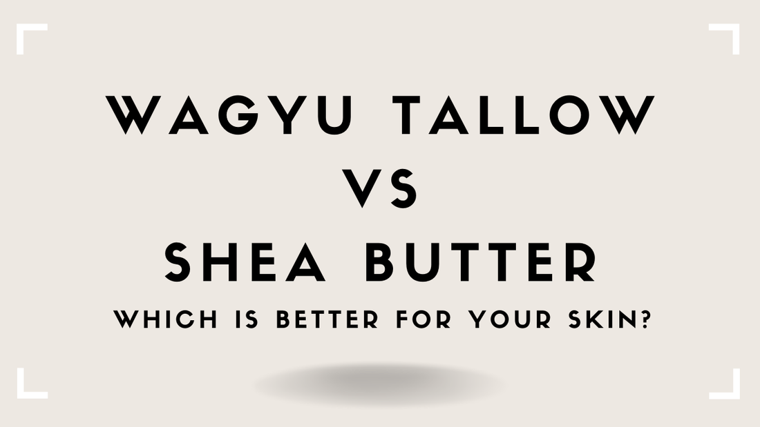 Tallow vs Shea Butter: Which Is Better for Your Skin?