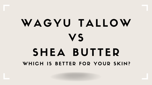 Tallow vs Shea Butter: Which Is Better for Your Skin?