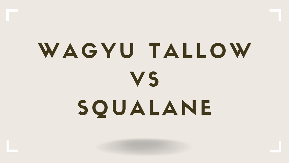 Tallow vs Squalane The Skin-Compatible Oil Comparison