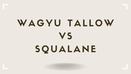 Tallow vs Squalane The Skin-Compatible Oil Comparison
