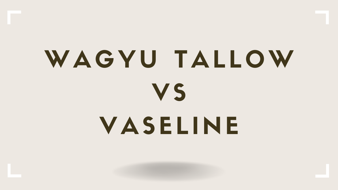 Tallow vs Vaseline Which Occlusive Is Better for Your Skin
