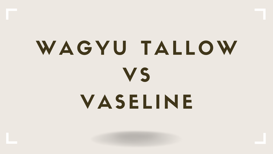 Tallow vs Vaseline Which Occlusive Is Better for Your Skin