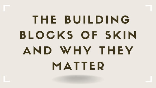 The Building Blocks of Skin and Why They Matter