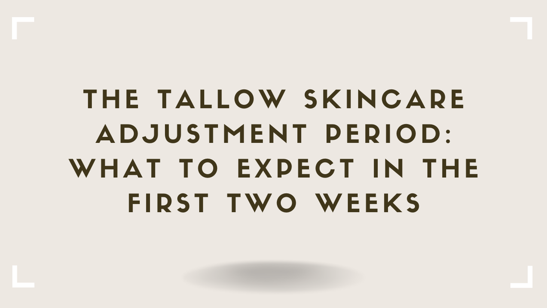 The Tallow Skincare Adjustment Period What to Expect in the First Two Weeks