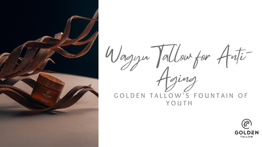 Wagyu Tallow for Anti-Aging: Golden Tallow's Fountain of Youth