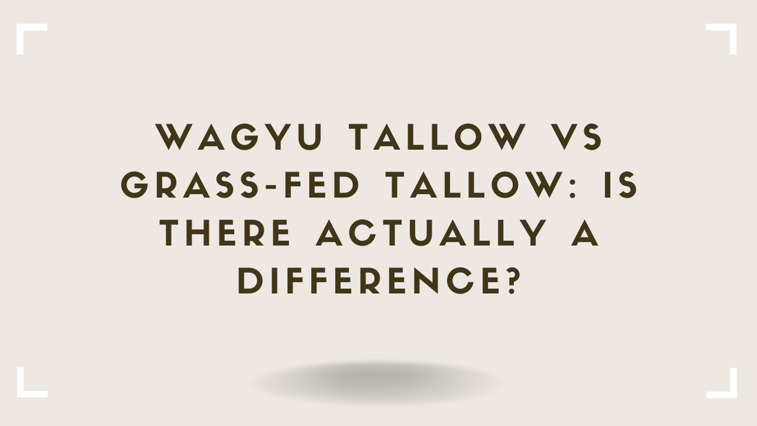 Wagyu Tallow vs Grass-Fed Tallow Is There Actually a Difference
