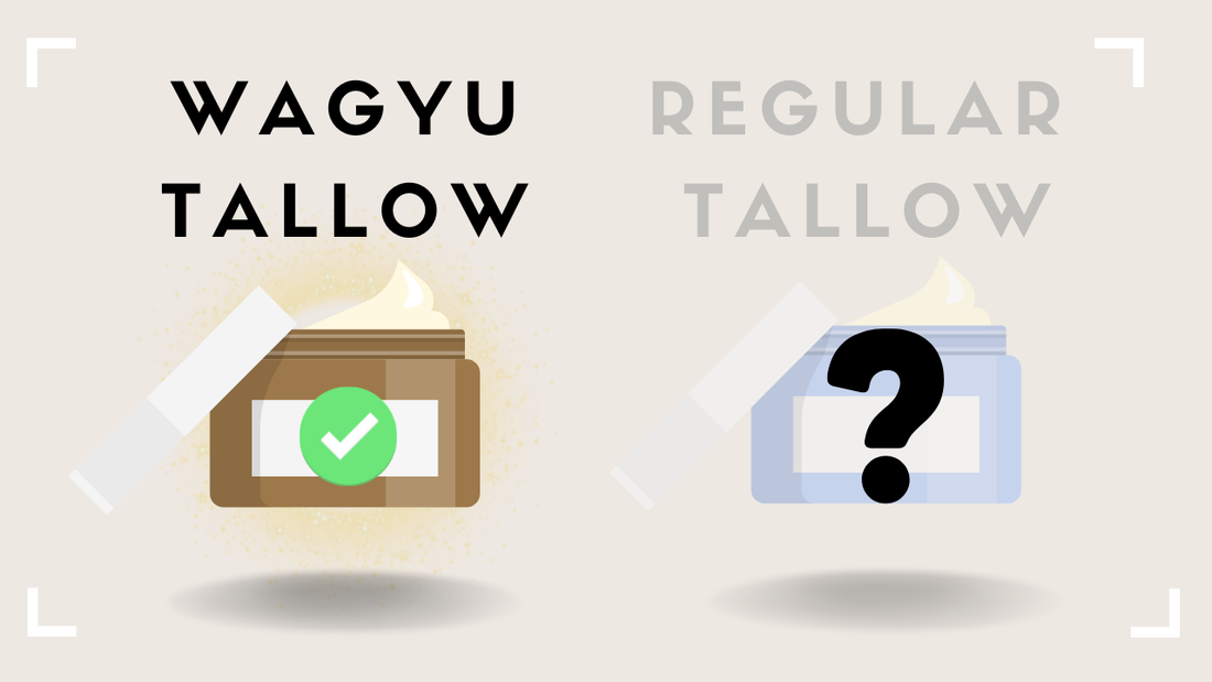 Wagyu Tallow vs Regular Beef Tallow What's Actually Different?