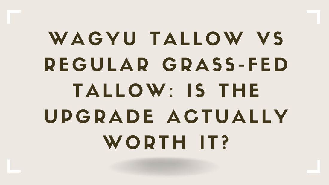 Wagyu Tallow vs Regular Grass-Fed Tallow Is the Upgrade Actually Worth It