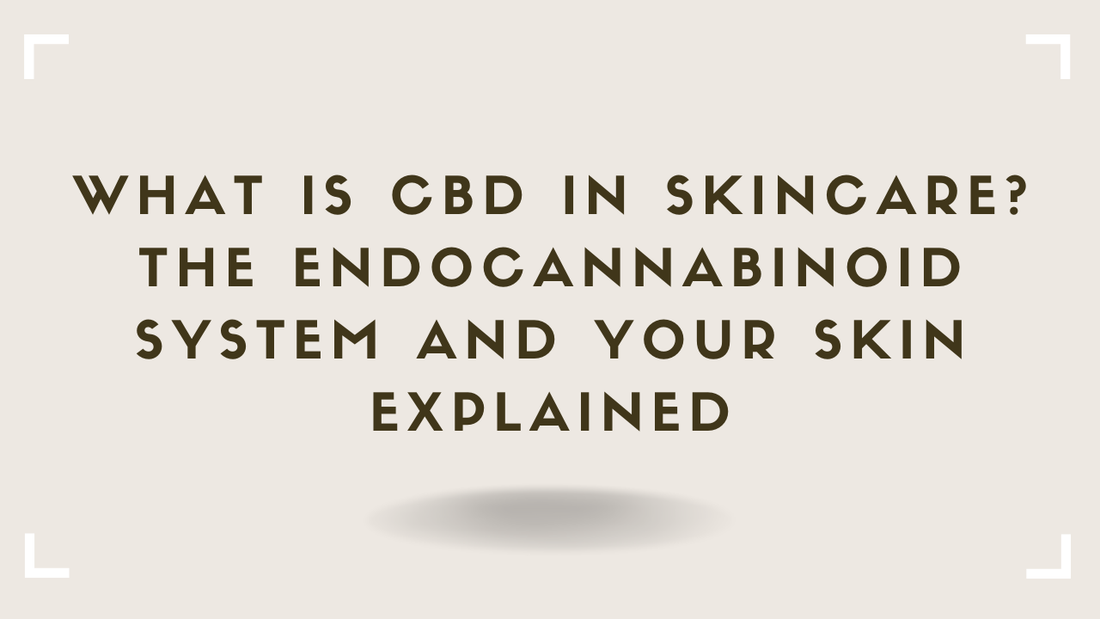 What Is CBD in Skincare The Endocannabinoid System and Your Skin Explained