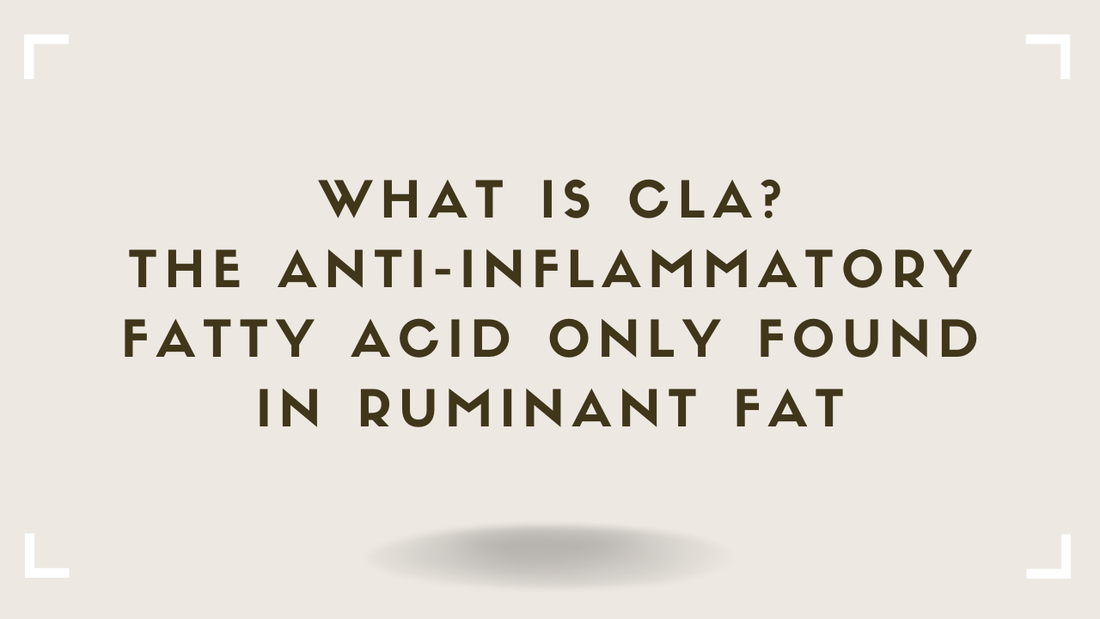 What Is CLA The Anti-Inflammatory Fatty Acid Only Found in Ruminant Fat