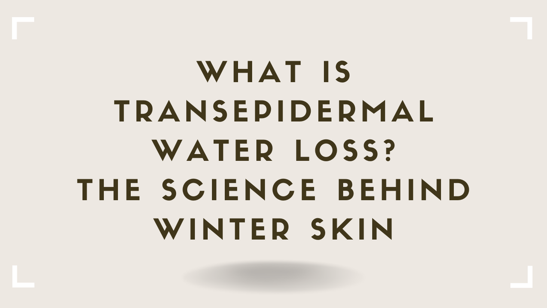 What Is Transepidermal Water Loss The Science Behind Winter Skin