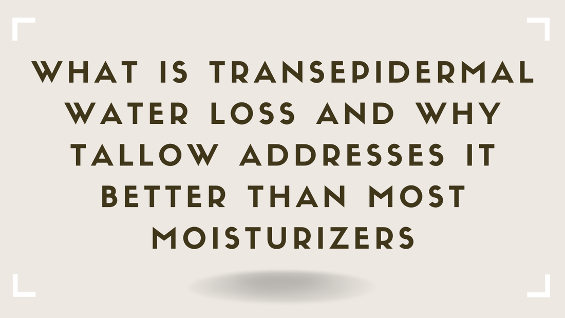 What Is Transepidermal Water Loss and Why Tallow Addresses It Better Than Most Moisturizers