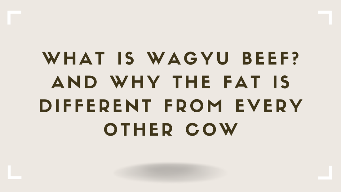 What Is Wagyu Beef And Why the Fat Is Different From Every Other Cow