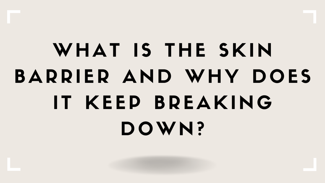 What Is the Skin Barrier and Why Does It Keep Breaking Down?
