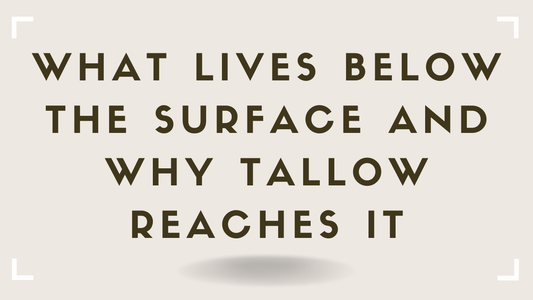 What Lives Below the Surface and Why Tallow Reaches It