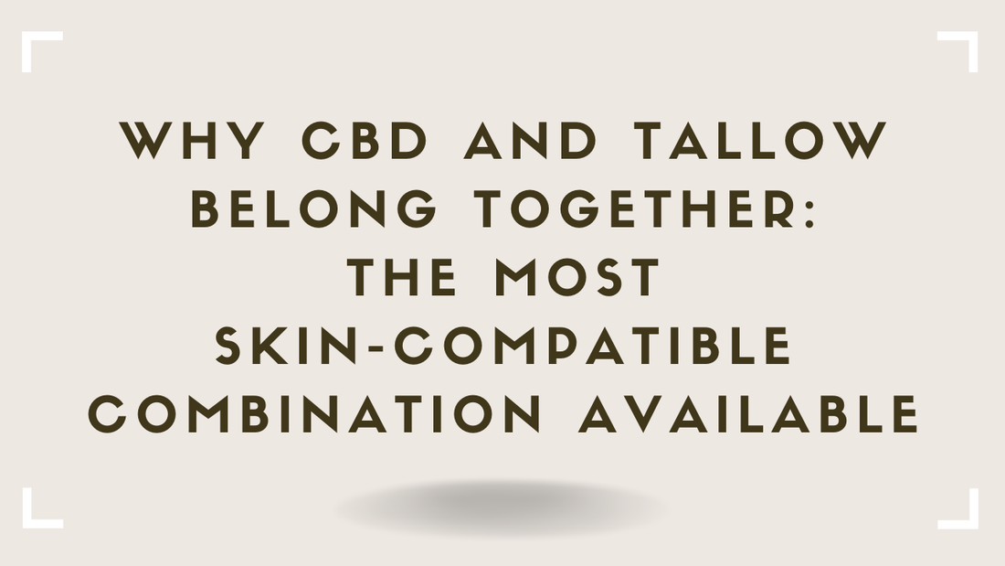 Why CBD and Tallow Belong Together The Most Skin-Compatible Combination Available