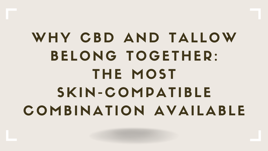 Why CBD and Tallow Belong Together The Most Skin-Compatible Combination Available