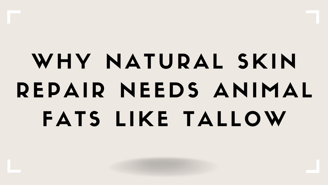 Why Natural Skin Repair Needs Animal Fats Like Tallow
