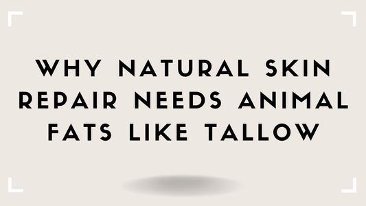 Why Natural Skin Repair Needs Animal Fats Like Tallow