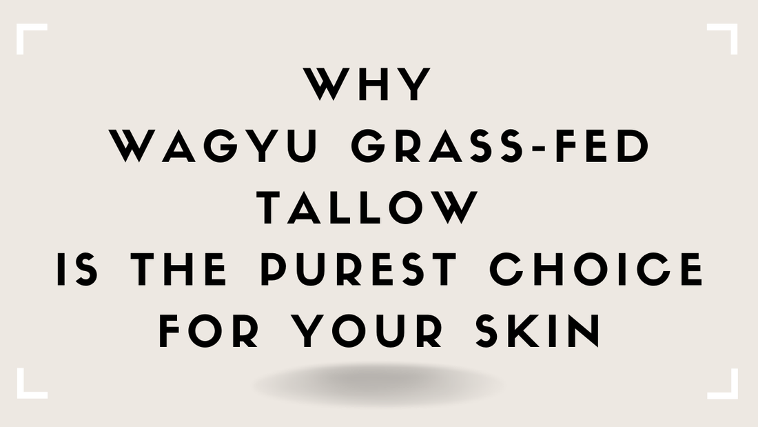 Why Wagyu Grass-Fed Tallow Is the Purest Choice for Your Skin