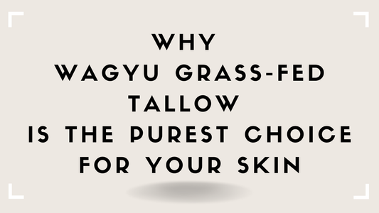 Why Wagyu Grass-Fed Tallow Is the Purest Choice for Your Skin