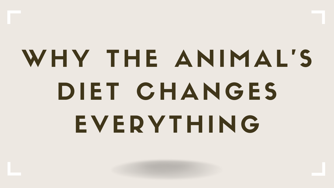 Why the Animal's Diet Changes Everything