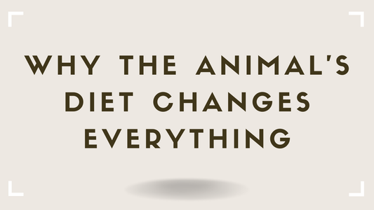 Why the Animal's Diet Changes Everything