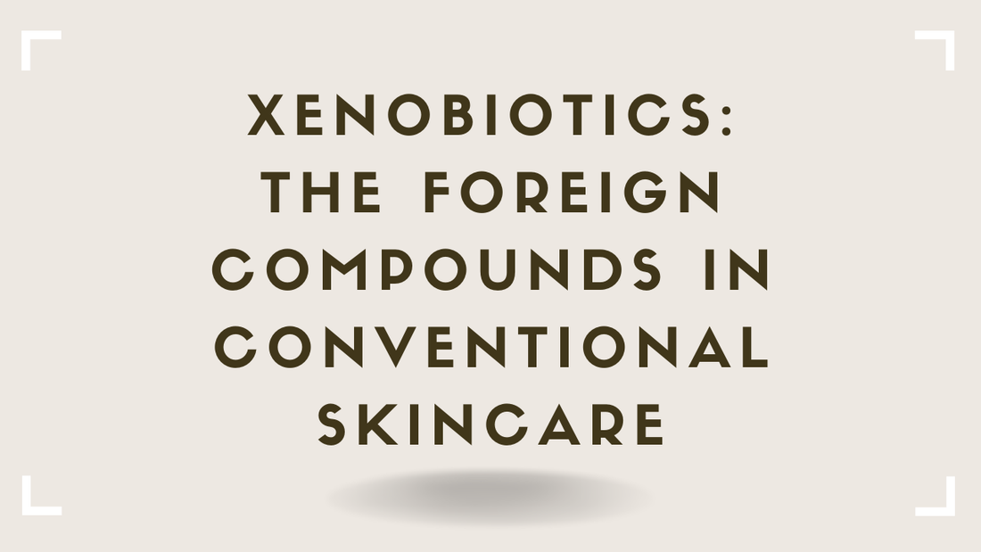 Xenobiotics The Foreign Compounds in Conventional Skincare
