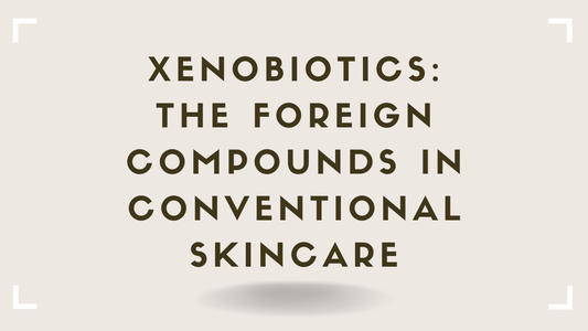 Xenobiotics The Foreign Compounds in Conventional Skincare