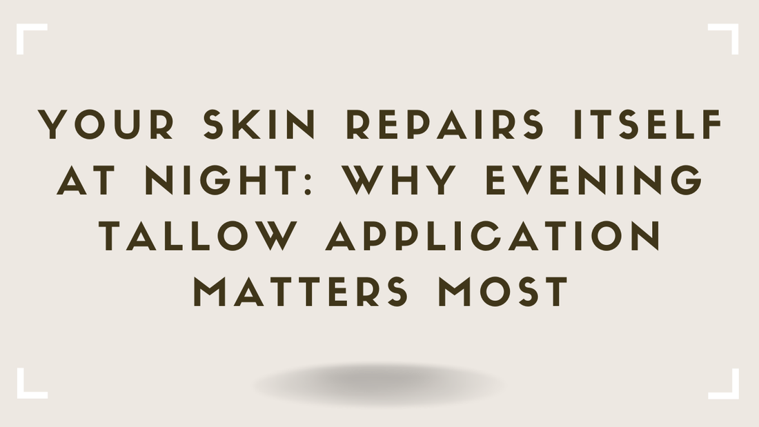 Your Skin Repairs Itself at Night Why Evening Tallow Application Matters Most