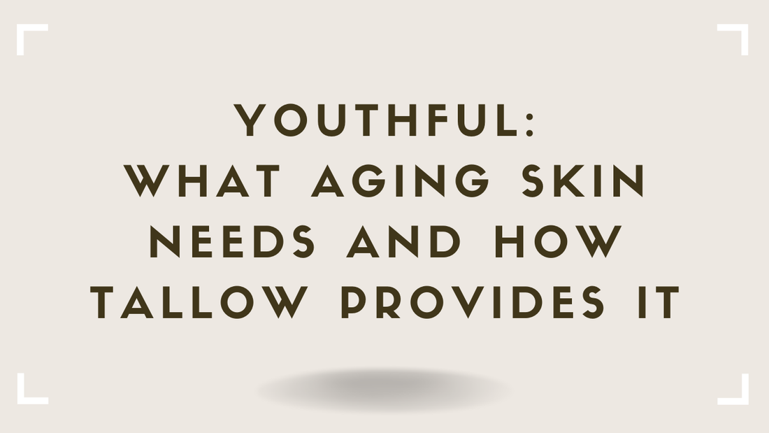 Youthful What Aging Skin Needs and How Tallow Provides It
